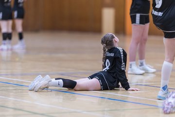 Bild 25 - wBJ TSV Ellerau - SV Fehmarn : Ergebnis: 27:20